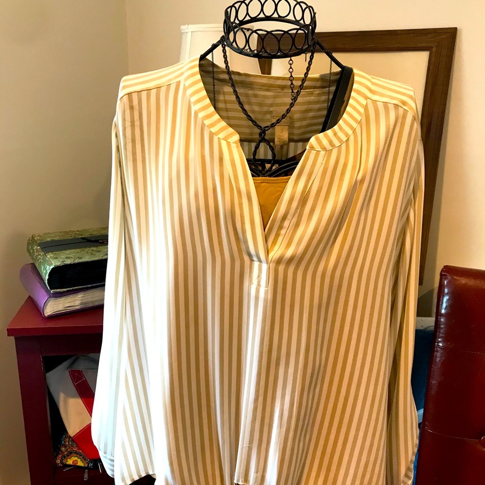 Chico’s beige and white crepe top and matching camisole